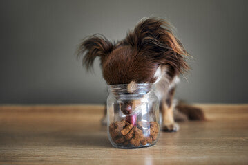 Biscuits & Cookies