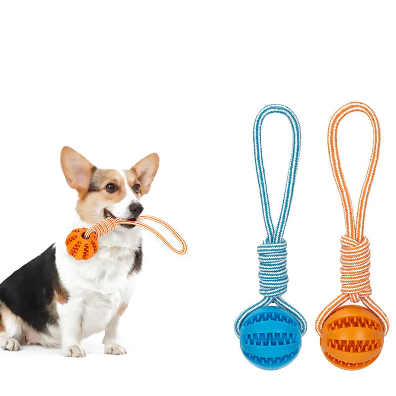 Pet Treat Balls with Rope - Interactive Chew Toy for Dogs