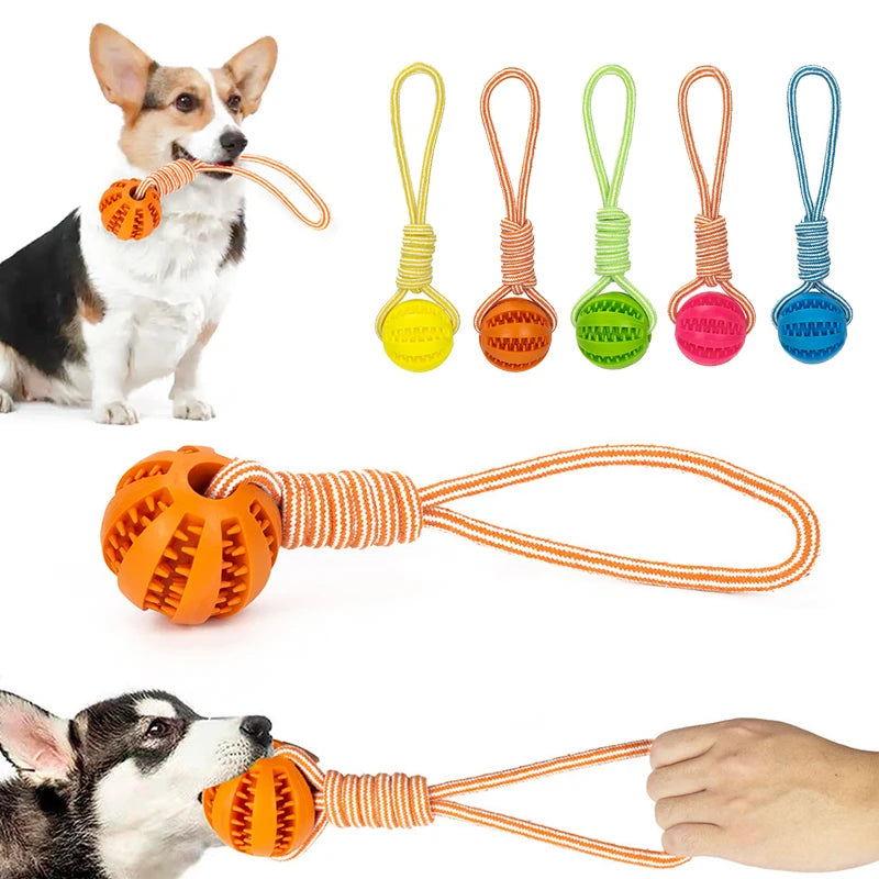 Pet Treat Balls with Rope - Interactive Chew Toy for Dogs