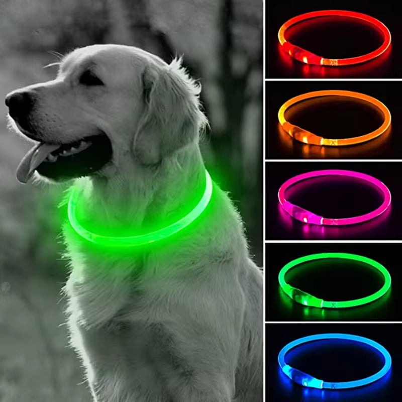 LED Dog Collar - Luminous USB Rechargeable Collar with 3 Modes for Dogs and Cats