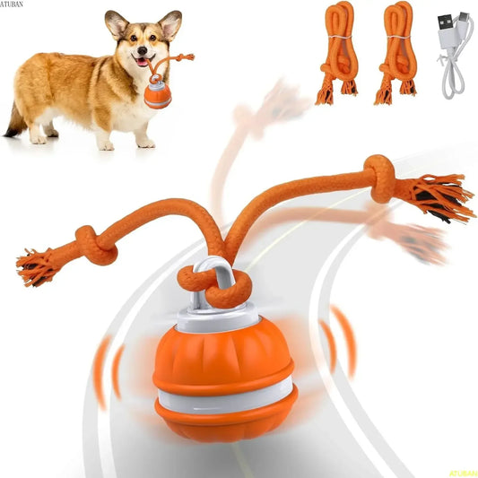 Peppy Pet Ball - Motion Activated Rolling Toy for Dogs