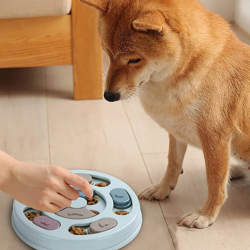 Dog Food Hiding Bowl - Slow Food Training & Educational Toy