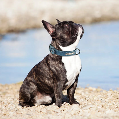 Personalized Leather Dog Collar with ID Tag for Small to Large Dogs