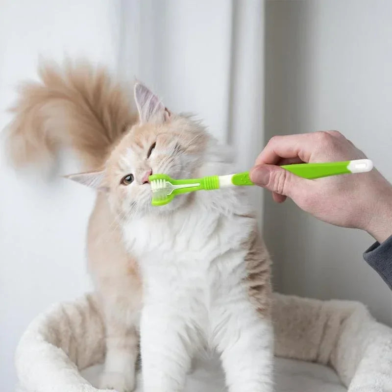 Triple-Sided Toothbrush for Pets