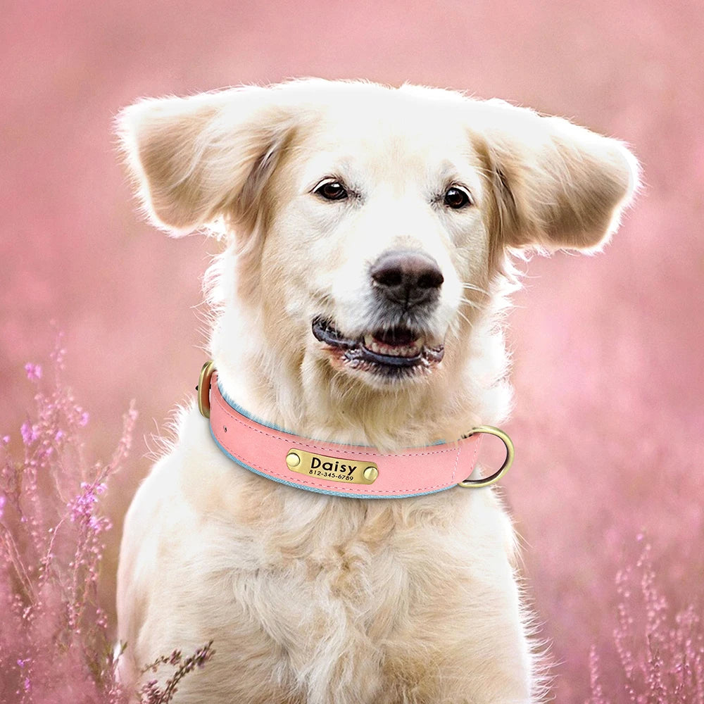 Personalized Leather Dog Collar with Engraved ID Tag - Soft Padded, Adjustable