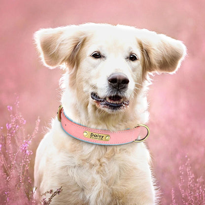 Personalized Leather Dog Collar with Engraved ID Tag - Soft Padded, Adjustable