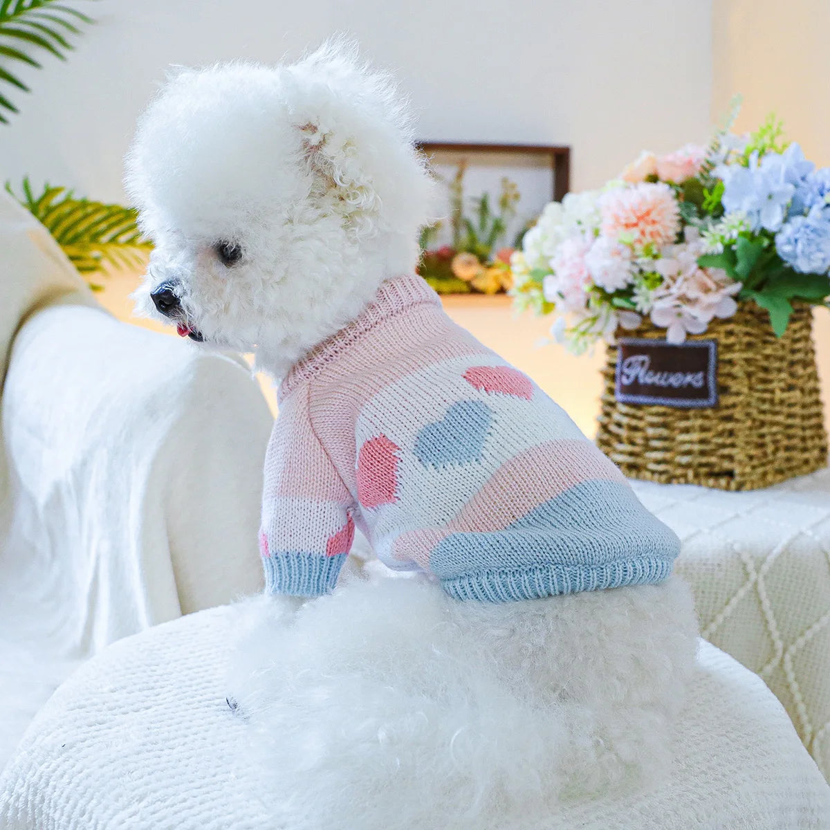 Elastic Love Jacquard Sweater for Small and Medium Dogs, Blue and Pink Sweater for Pets