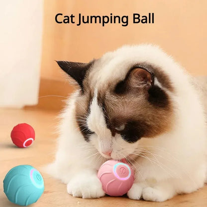 Smart Rolling Ball Toy for Cats, USB Powered