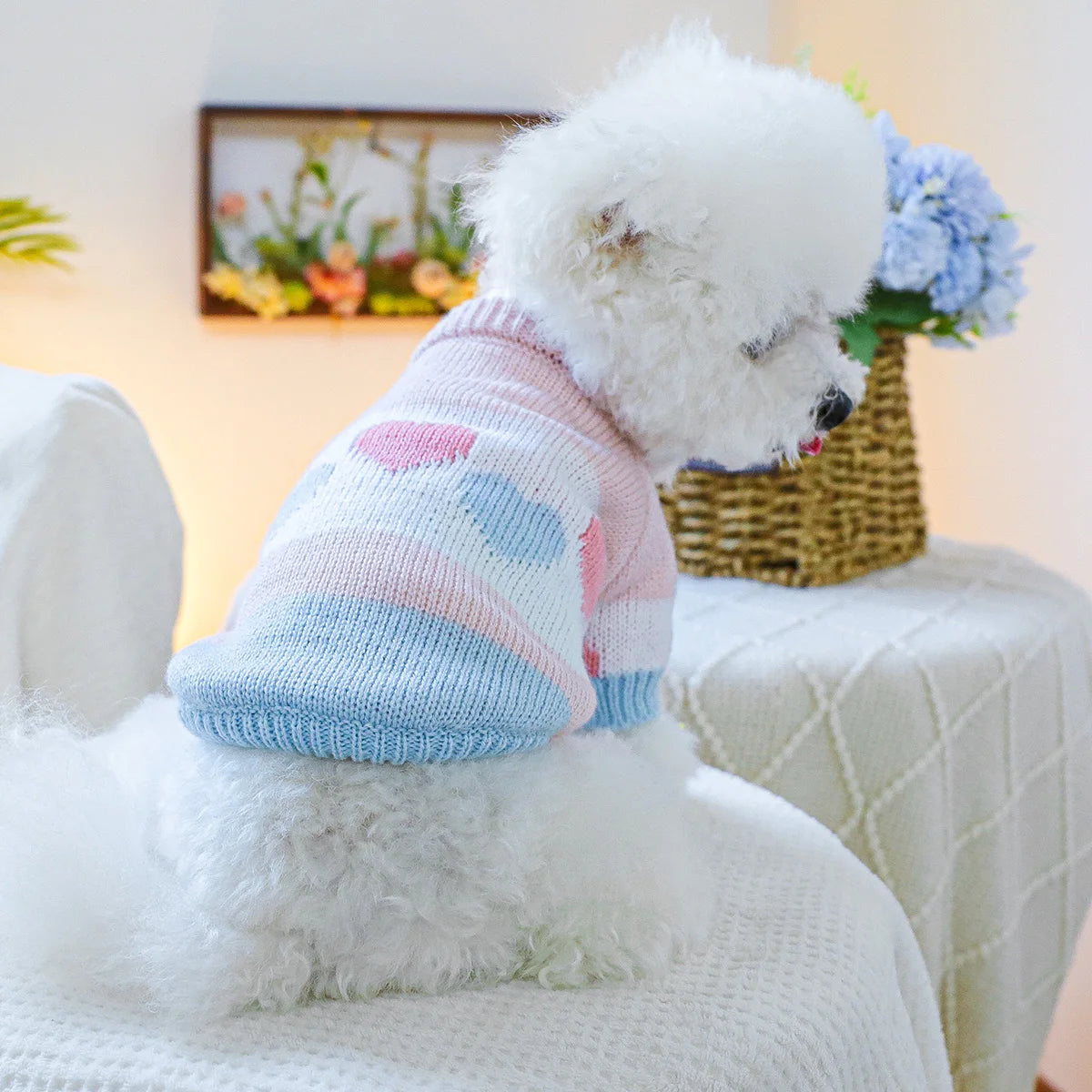 Elastic Love Jacquard Sweater for Small and Medium Dogs, Blue and Pink Sweater for Pets