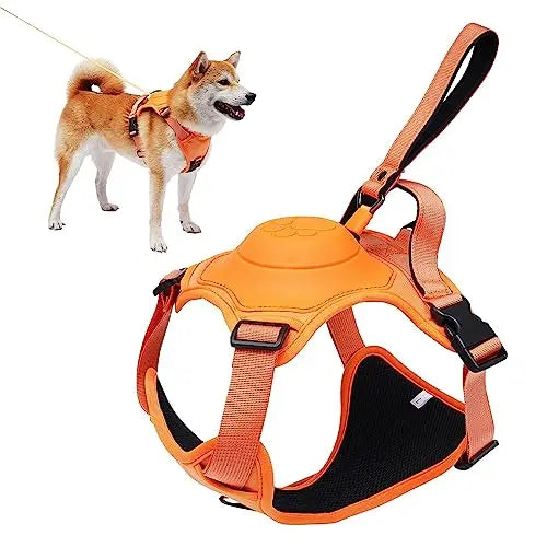 Dog Harness and Retractable Leash Set - All-in-One