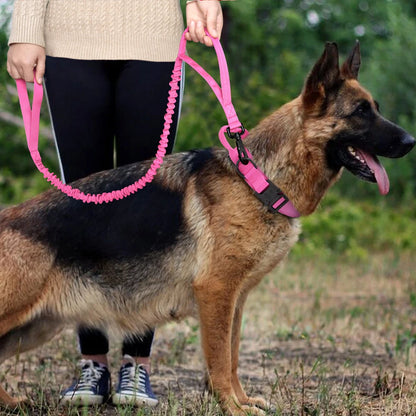 Durable Military Tactical Dog Collar and Nylon Leash Set for Training