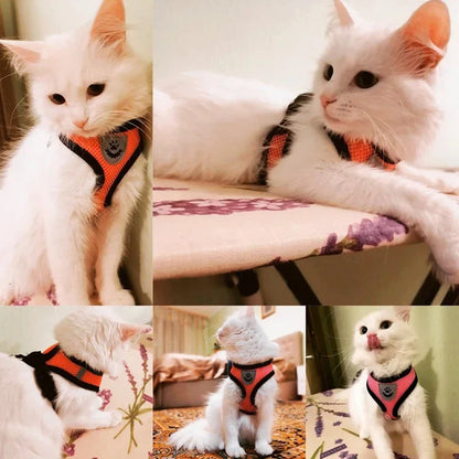 Adjustable Mesh Harness for Cats and Small Dogs