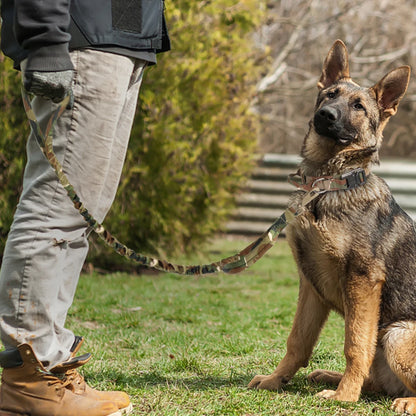 Durable Military Tactical Dog Collar and Nylon Leash Set for Training