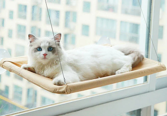 Hanging Cat Hammock Bed