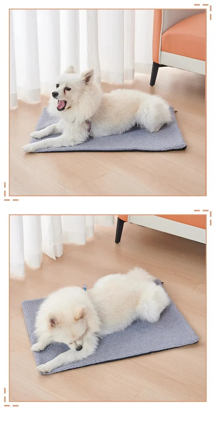 Self-Warming Blanket for Cats and Small Dogs, No Electricity Needed