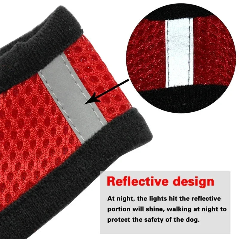 Adjustable Mesh Harness for Cats and Small Dogs