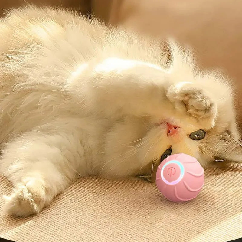 Smart Rolling Ball Toy for Cats, USB Powered