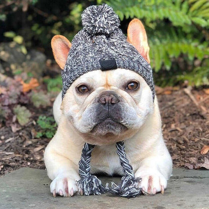 Warm Winter Dog Hats – Windproof Knit for Bulldogs, Chihuahuas, and Puppies