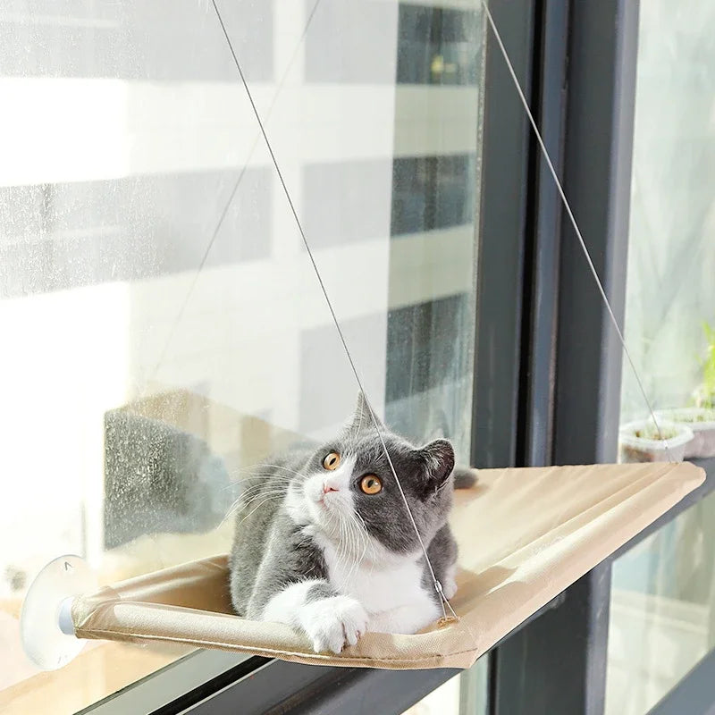 Hanging Cat Hammock Bed