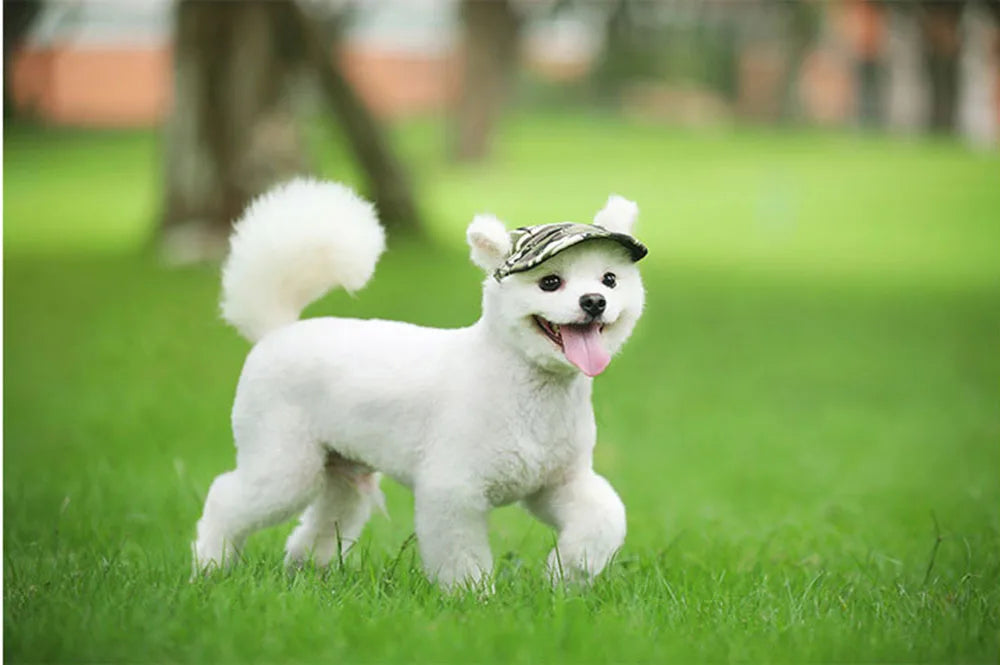 Dog Sun Hat - Adjustable Baseball Cap with Ear Holes for Small, Medium, and Large Dogs