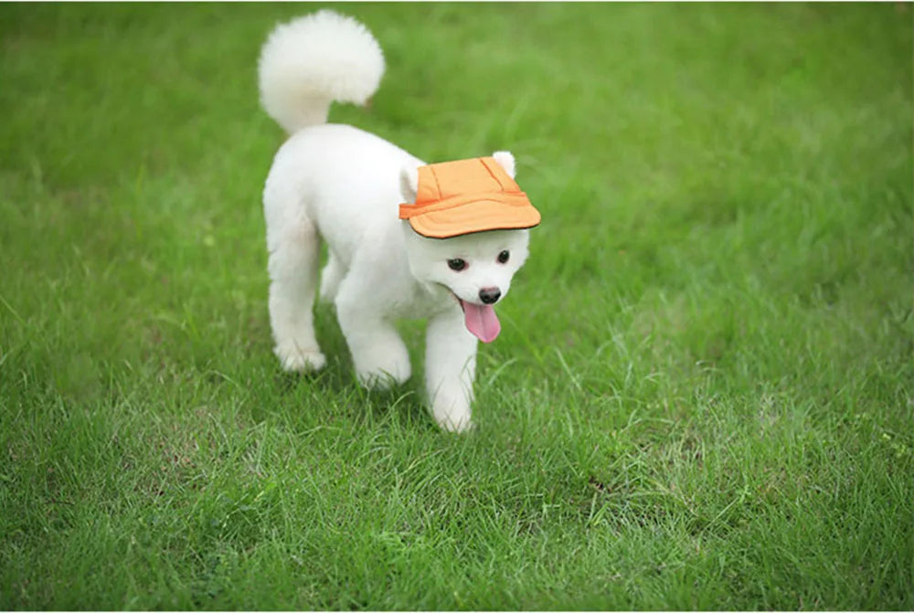 Dog Sun Hat - Adjustable Baseball Cap with Ear Holes for Small, Medium, and Large Dogs