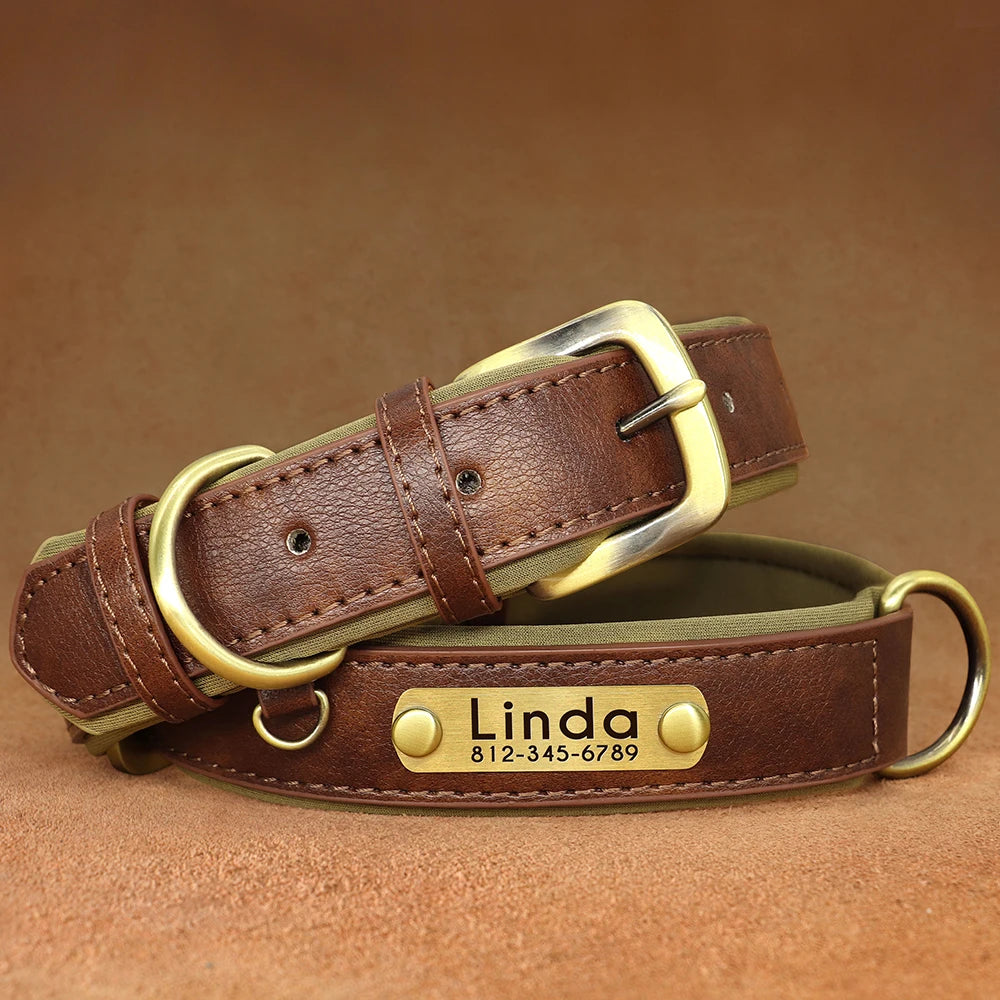 Personalized Leather Dog Collar with Engraved ID Tag - Soft Padded, Adjustable