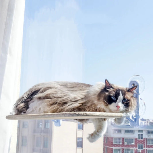 Suction Cup Cat Swing Bed