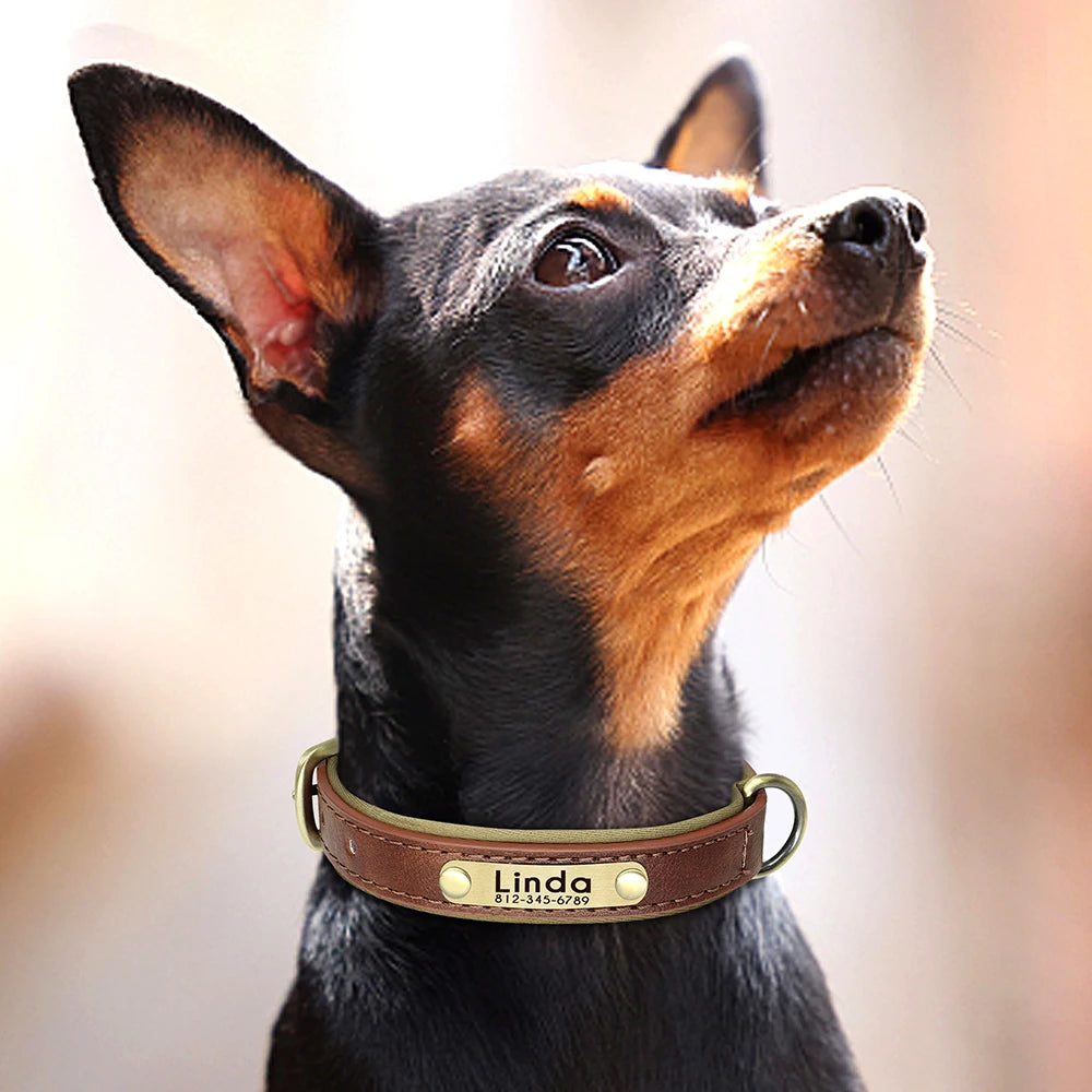 Personalized Leather Dog Collar with Engraved ID Tag - Soft Padded, Adjustable