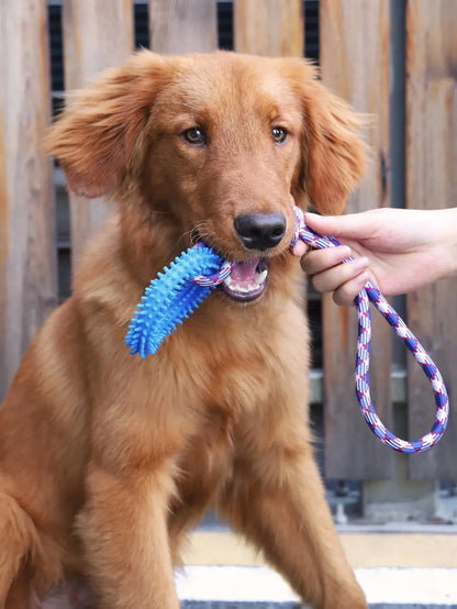 Interactive Training Ring for Dogs, Spike Toy for Teeth Cleaning