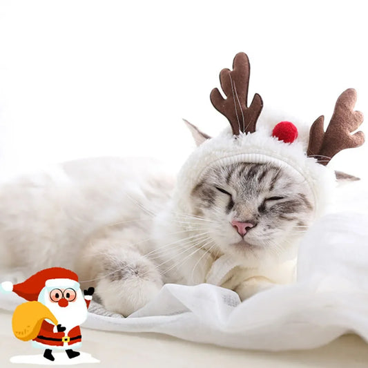 Christmas Santa and Reindeer Costume Set for Pets