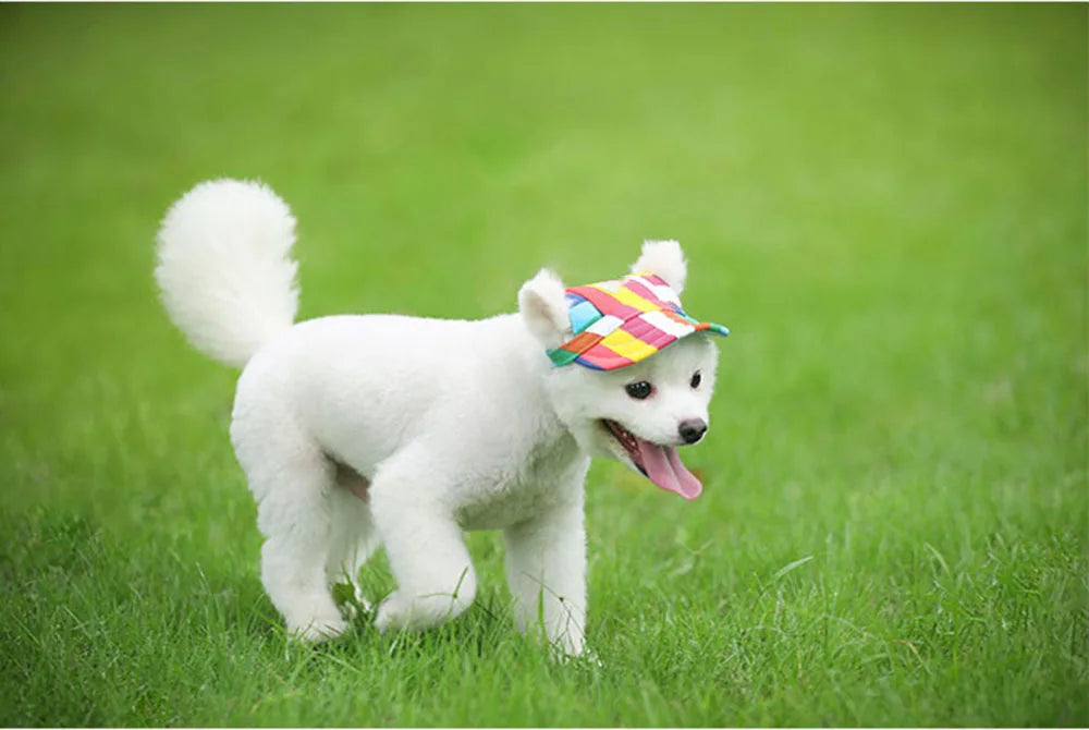 Dog Sun Hat - Adjustable Baseball Cap with Ear Holes for Small, Medium, and Large Dogs