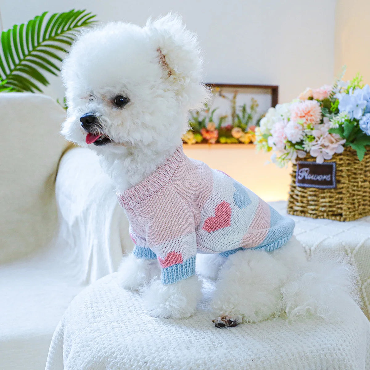 Elastic Love Jacquard Sweater for Small and Medium Dogs, Blue and Pink Sweater for Pets