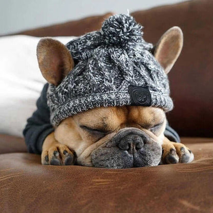 Warm Winter Dog Hats – Windproof Knit for Bulldogs, Chihuahuas, and Puppies