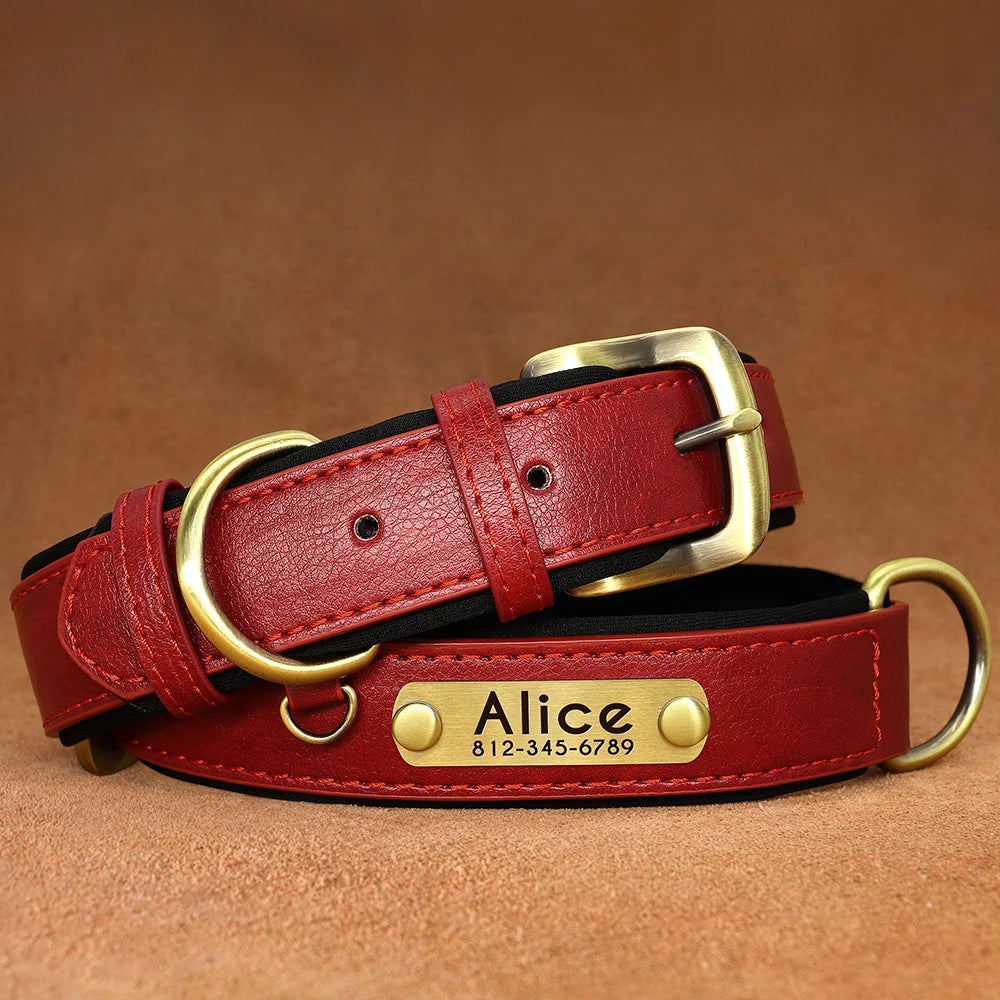 Personalized Leather Dog Collar with Engraved ID Tag - Soft Padded, Adjustable