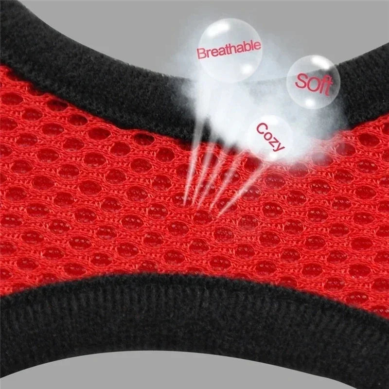 Adjustable Mesh Harness for Cats and Small Dogs