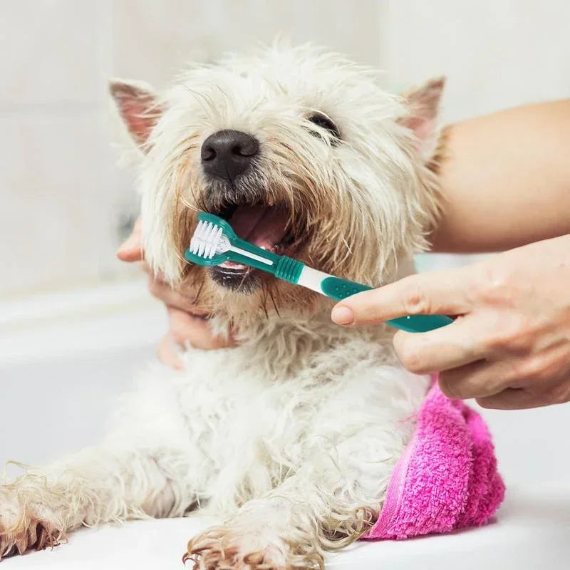 Triple-Sided Toothbrush for Pets