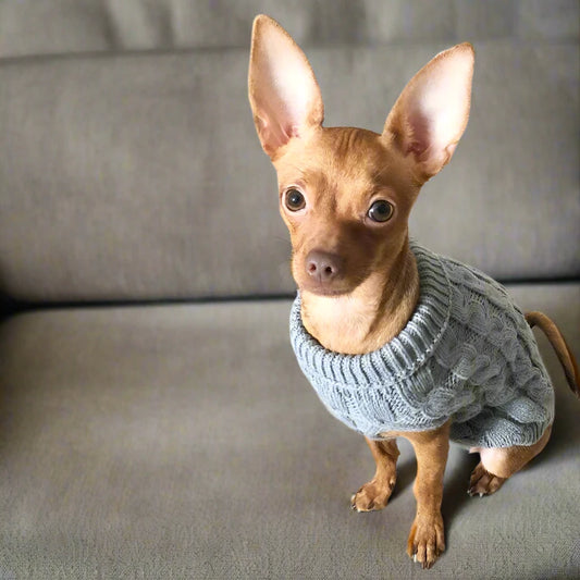 High-Neck Pet Sweater for Small and Medium Pets, Winter Warm Clothes for Cats and Dogs