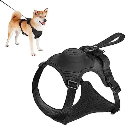 Dog Harness and Retractable Leash Set - All-in-One