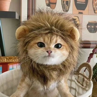 Fun Lion Mane Hat for Pets