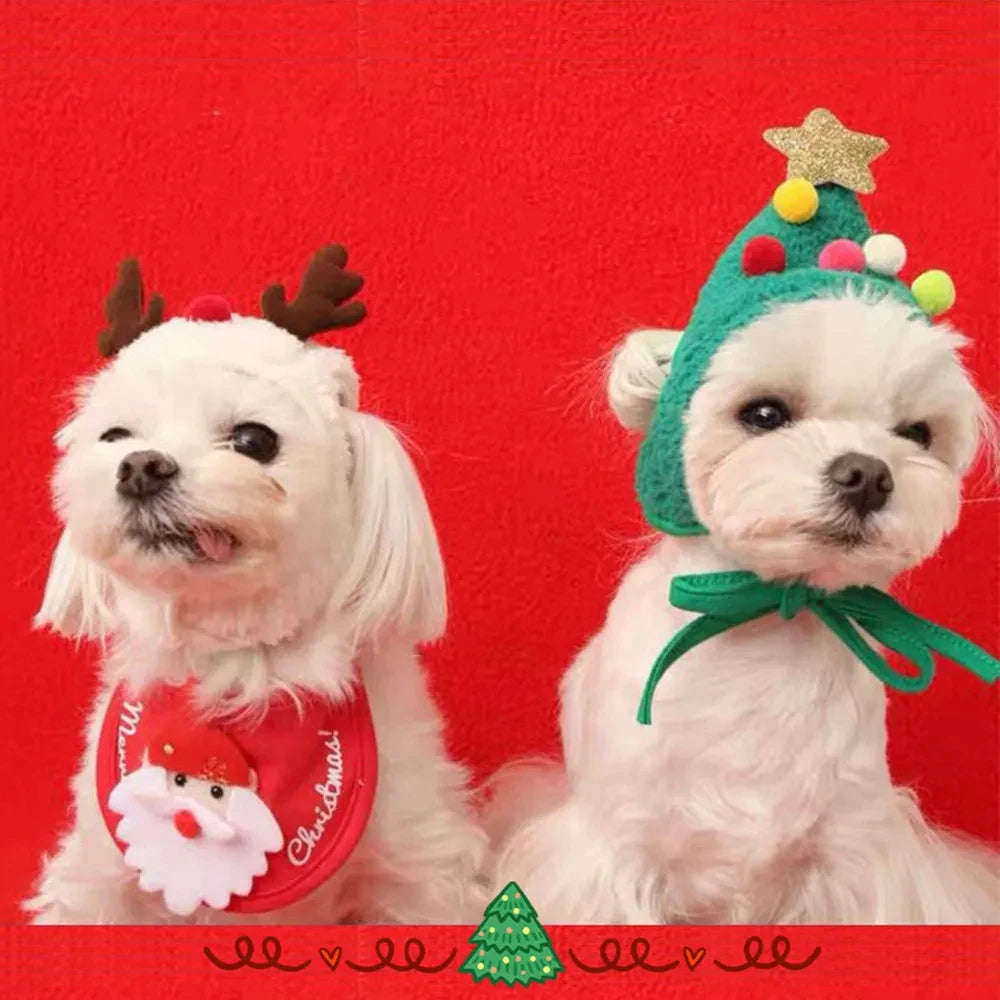 Christmas Santa and Reindeer Costume Set for Pets