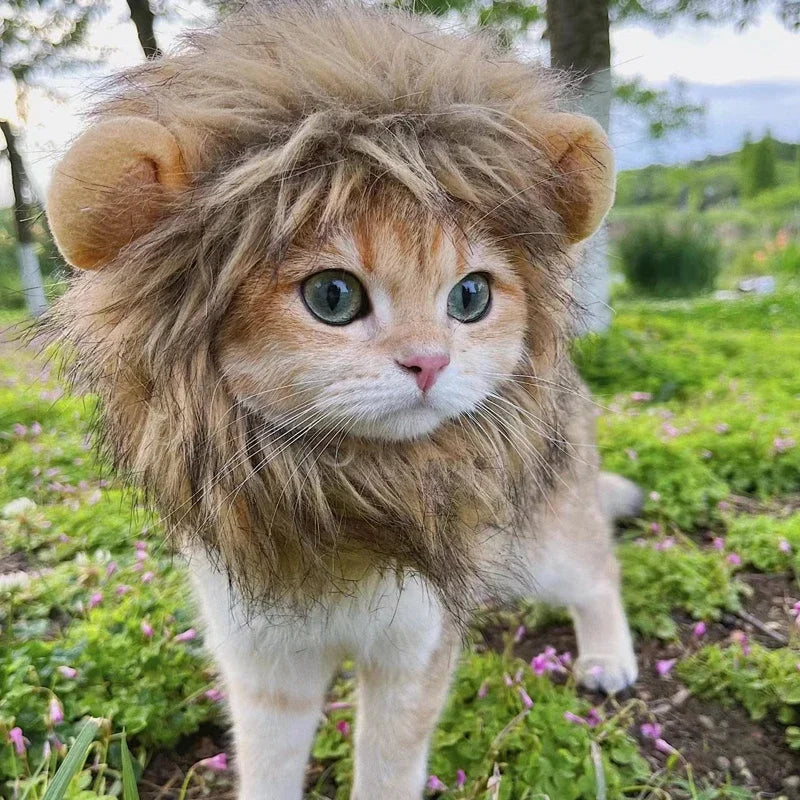 Fun Lion Mane Hat for Pets