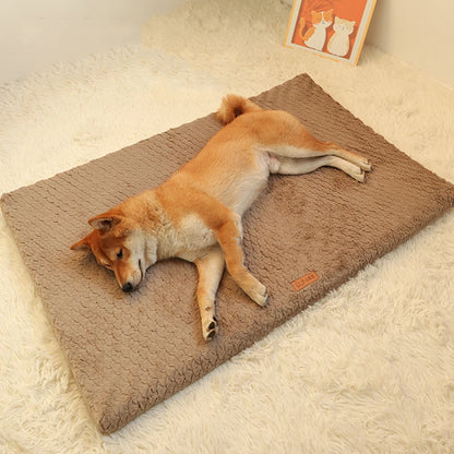 Removable Washable Plush Pet Bed, High Elasticity No-Collapse Dog Bed for Small and Medium Dogs