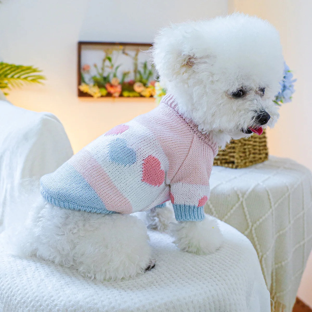 Elastic Love Jacquard Sweater for Small and Medium Dogs, Blue and Pink Sweater for Pets