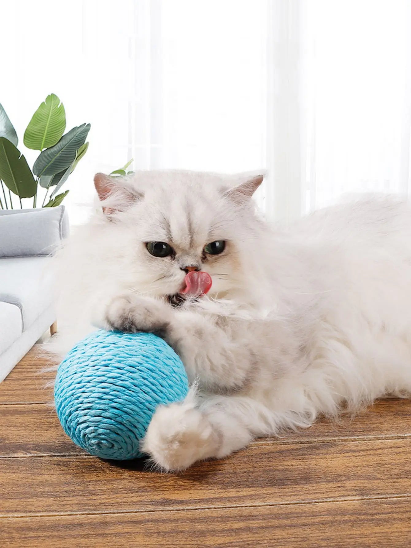 Interactive Sisal Scratching Ball for Cats