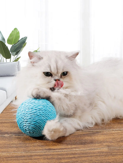 Interactive Sisal Scratching Ball for Cats