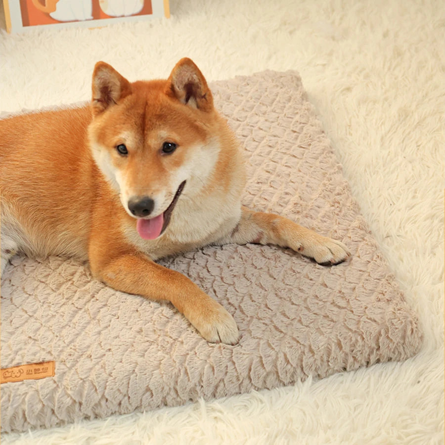 Removable Washable Plush Pet Bed, High Elasticity No-Collapse Dog Bed for Small and Medium Dogs