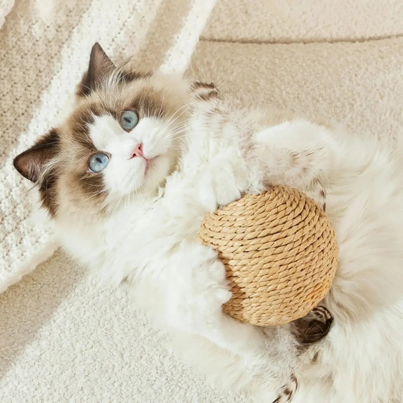 Interactive Sisal Scratching Ball for Cats