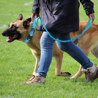 Durable Military Tactical Dog Collar and Nylon Leash Set for Training