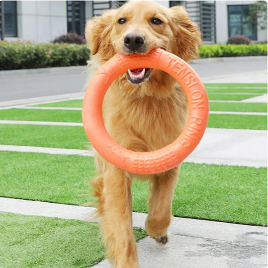 Orange Dog Toy, Flying Disc and Training Ring for Dogs