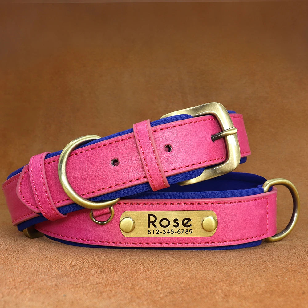 Personalized Leather Dog Collar with Engraved ID Tag - Soft Padded, Adjustable